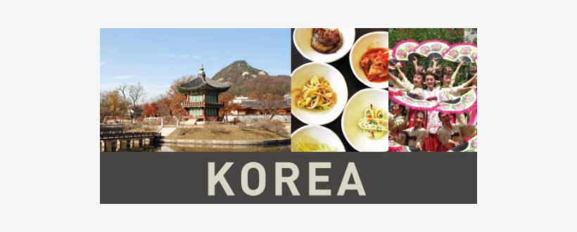 International Spotlight - Korea - Sfu, transparent png download