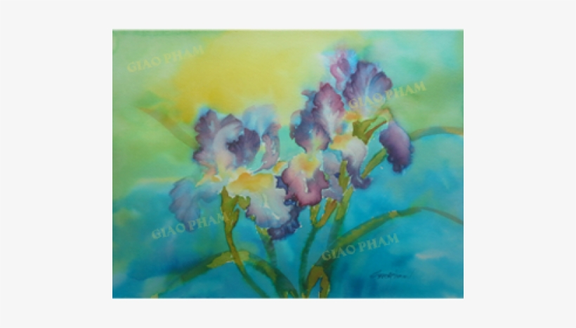 Iris, transparent png download