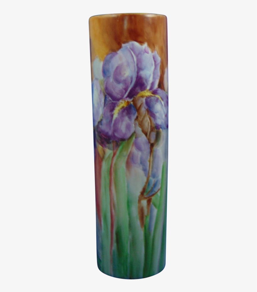 Publicat De Eu Ciresica La - Iris, transparent png download