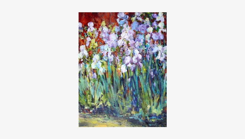 Iris Garden - Chanticleer - Iris, transparent png download