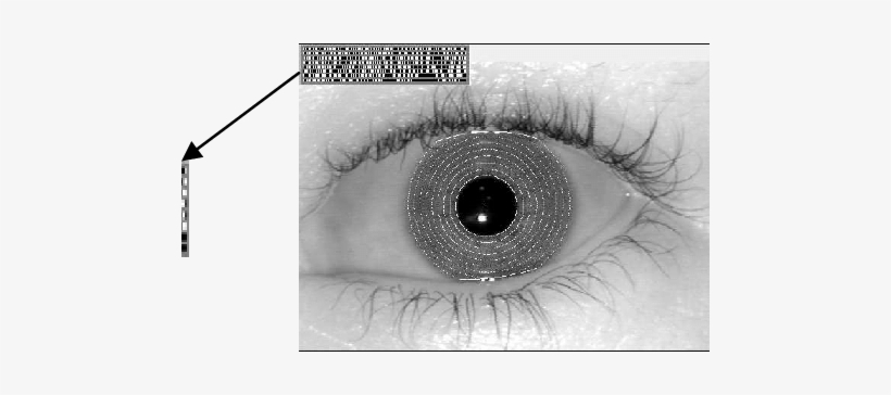 Isolation Of An Iris For Encoding, And Its Resulting - Biometrics, transparent png download
