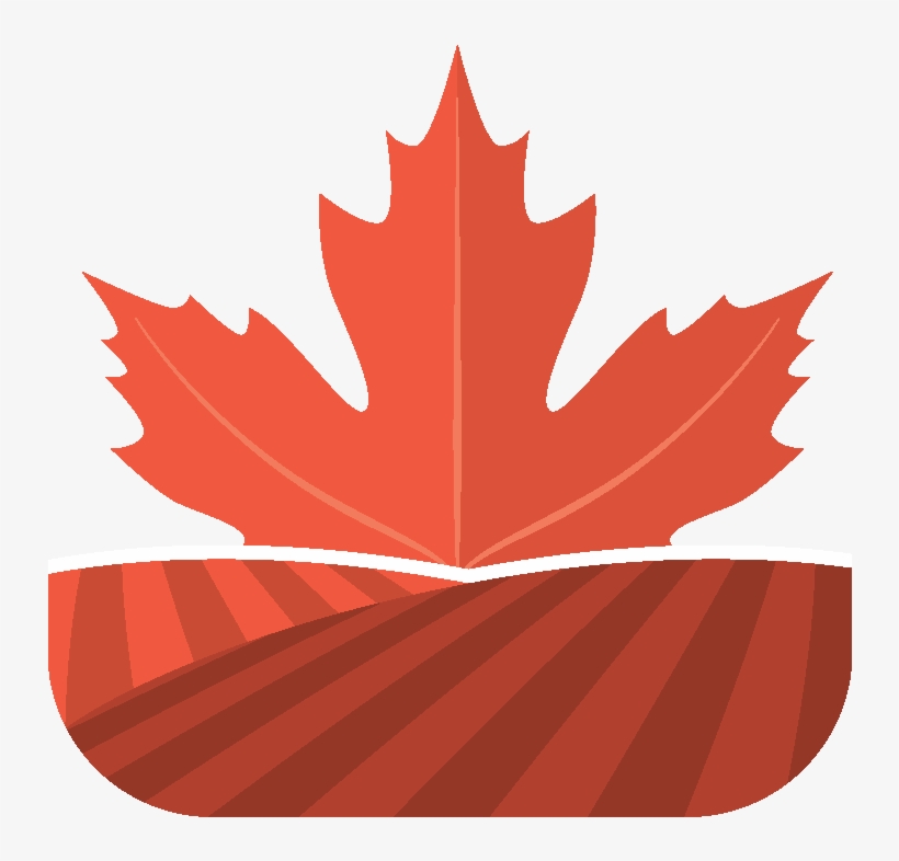 Cdylc - Google Image Maple Leaf, transparent png download
