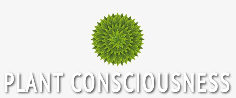 Pc Logo - Espresso, transparent png download