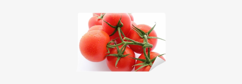 Bush Tomato, transparent png download
