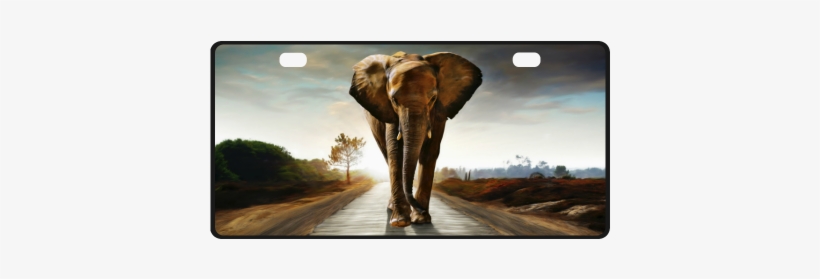 The Elephant License Plate - Ac Distrib Sas The Elephant By Gatterwe 1433788165_40_888-pc..., transparent png download