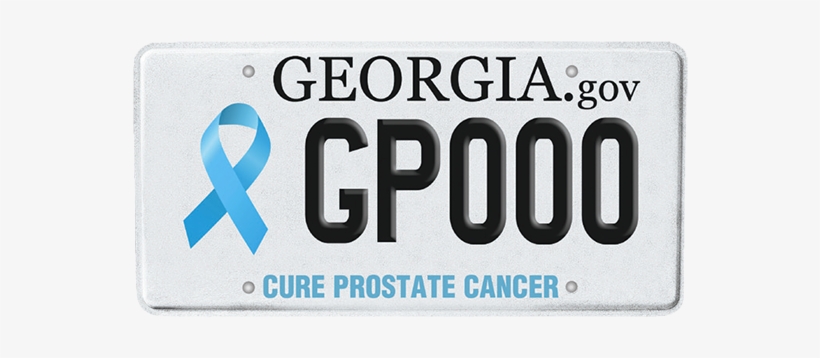 Gppc Plate Slide - Georgia License Plate Transparent, transparent png download