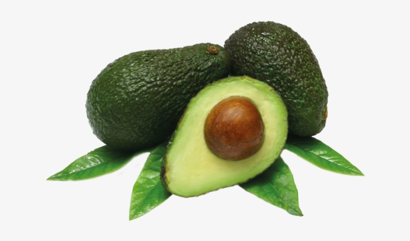 Contáctanos - Fresh Avocado, transparent png download