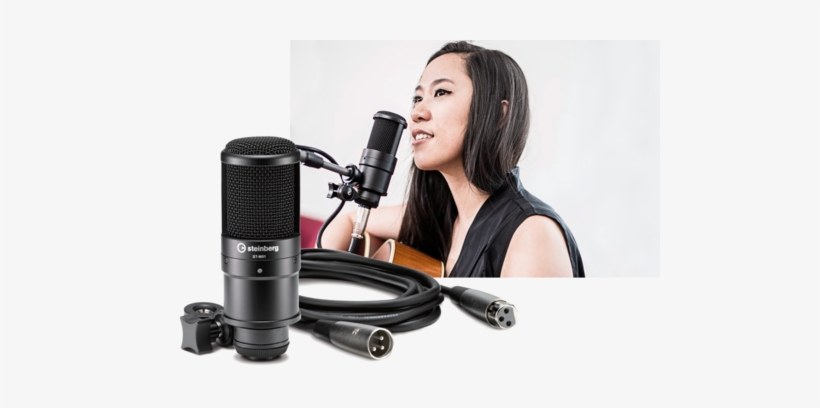The St-m01 Studio Condenser Microphone - Steinberg Ur22 Mk2 Recording ...