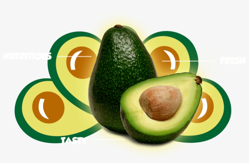 Characterized By Being In The Right Spot To Take Home - 12 Pack Moisturize Clean Rejuvenate Of Grisi Avocado, transparent png download