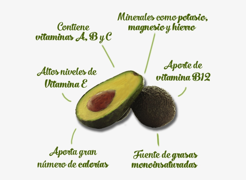 Bene Aguacate - Vitaminas Tiene El Aguacate, transparent png download