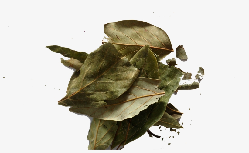 Hoja De Aguacate Entero - Avocado, transparent png download