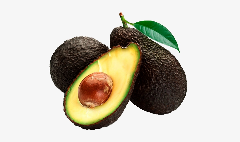 Aguacate Editable - Brighter Blooms Hass Avocado Tree Plant - Get Delicious, transparent png download