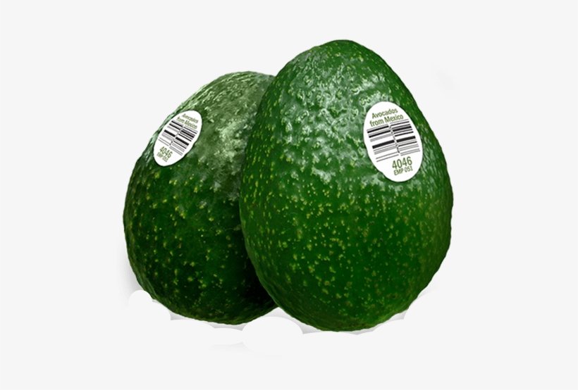 Aguacates Chahena - Avocado, transparent png download