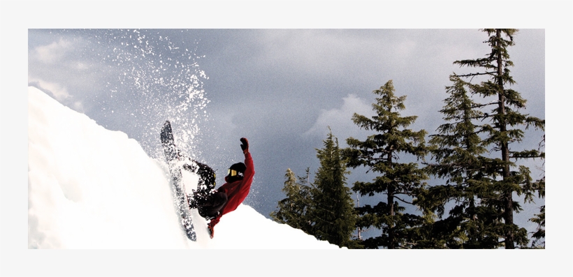 Gray Thompson Beefy - Snow, transparent png download