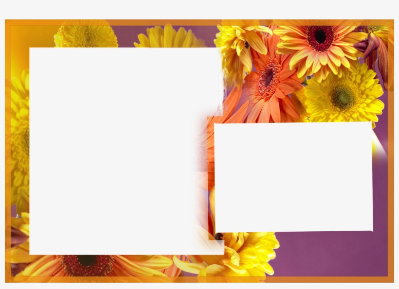 Albums Frames Engagement Frames Love Frames Marriags - Birthday Photo Frames With Flowers, transparent png download