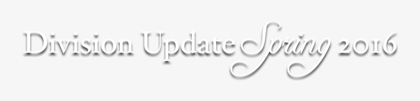 Antitrust Division Blocks United Airlines' Attempt - Calligraphy, transparent png download