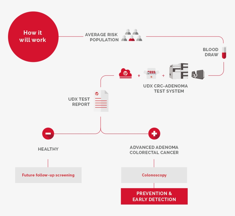 Grafico-solution - Universal Diagnostics, S.l., transparent png download