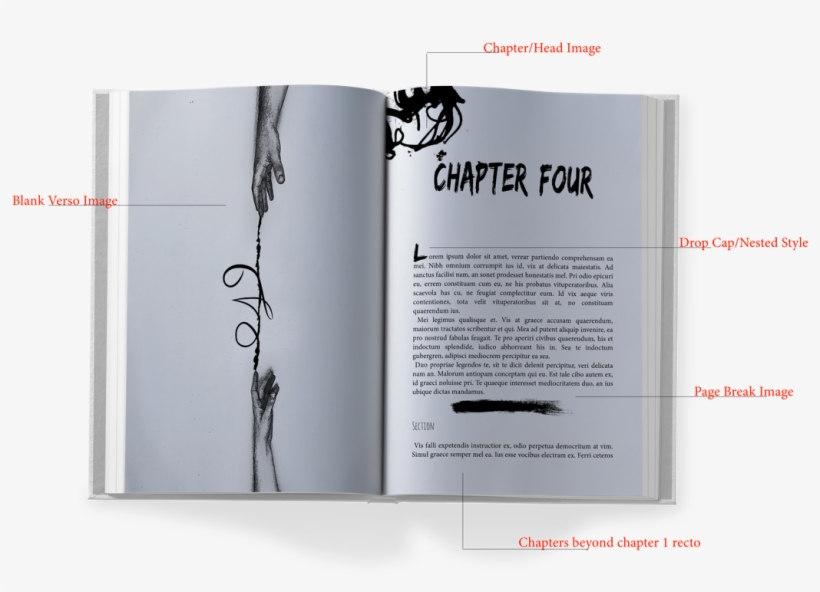 Picture - Brochure, transparent png download