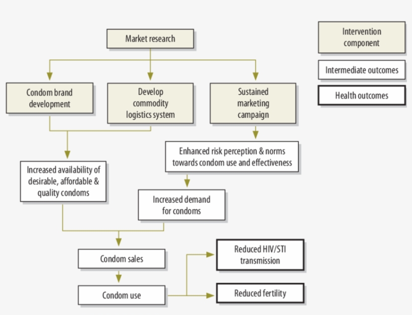 Theoretical/conceptual Model For Condom Social Marketing - Effect Of Condom, transparent png download