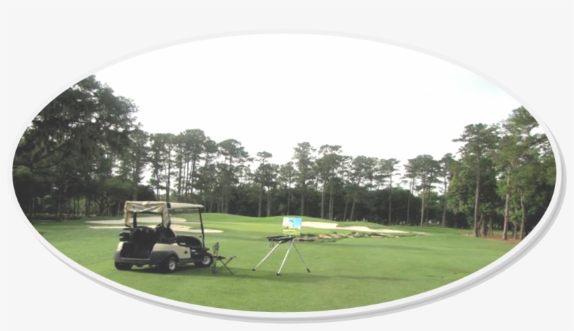 Art, transparent png download