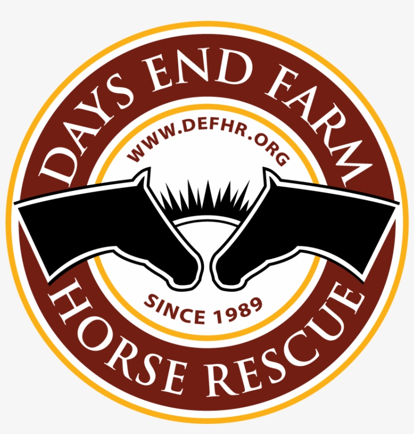 Changing Lives - Ksa Korea Standard Association, transparent png download