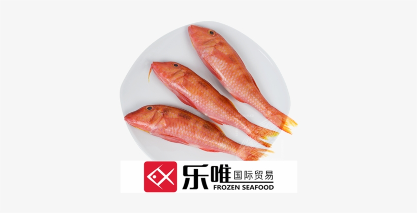 Frozen Mullet Fish Price - Coral Reef Fish, transparent png download