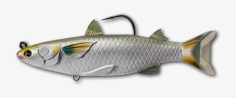 716 Silver - Live Target Swimming Mullet, transparent png download