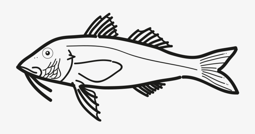 Red Mullet - Pseudupeneus Prayensis, transparent png download