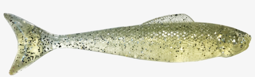 The Wedgetail's Patented Shape Mimics The Mullet Perfectly - Egret Wedgetail Shad 3.5" - 3 1/2in 8bg Easy Money, transparent png download