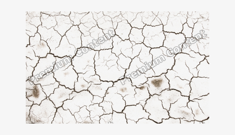 Cracky Decals - Monochrome, transparent png download