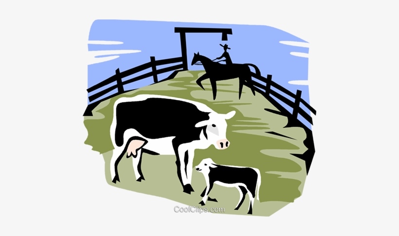 Cows In A Corral Royalty Free Vector Clip Art Illustration - Do Animals Have Culture, transparent png download
