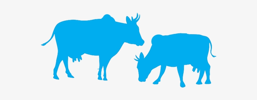Nurturing, Is Beyond Business - Vaches Silhouette, transparent png download