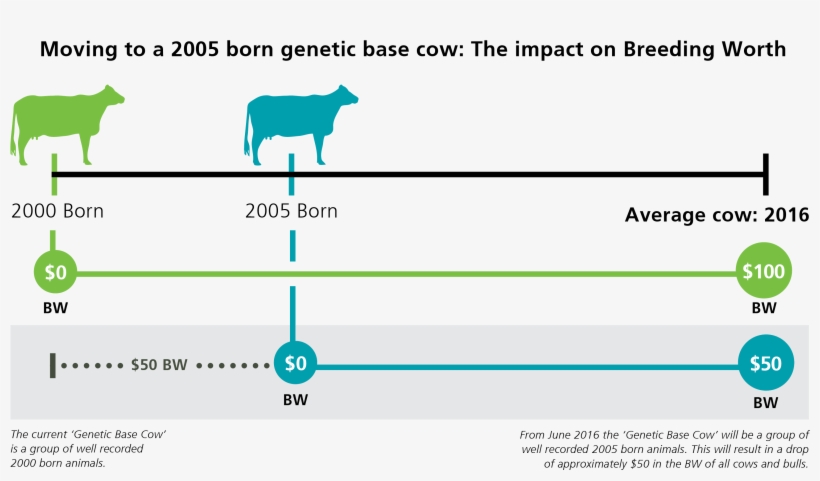 A Genetic Base Cow Update, Usually Every Five Years, - Diagram, transparent png download