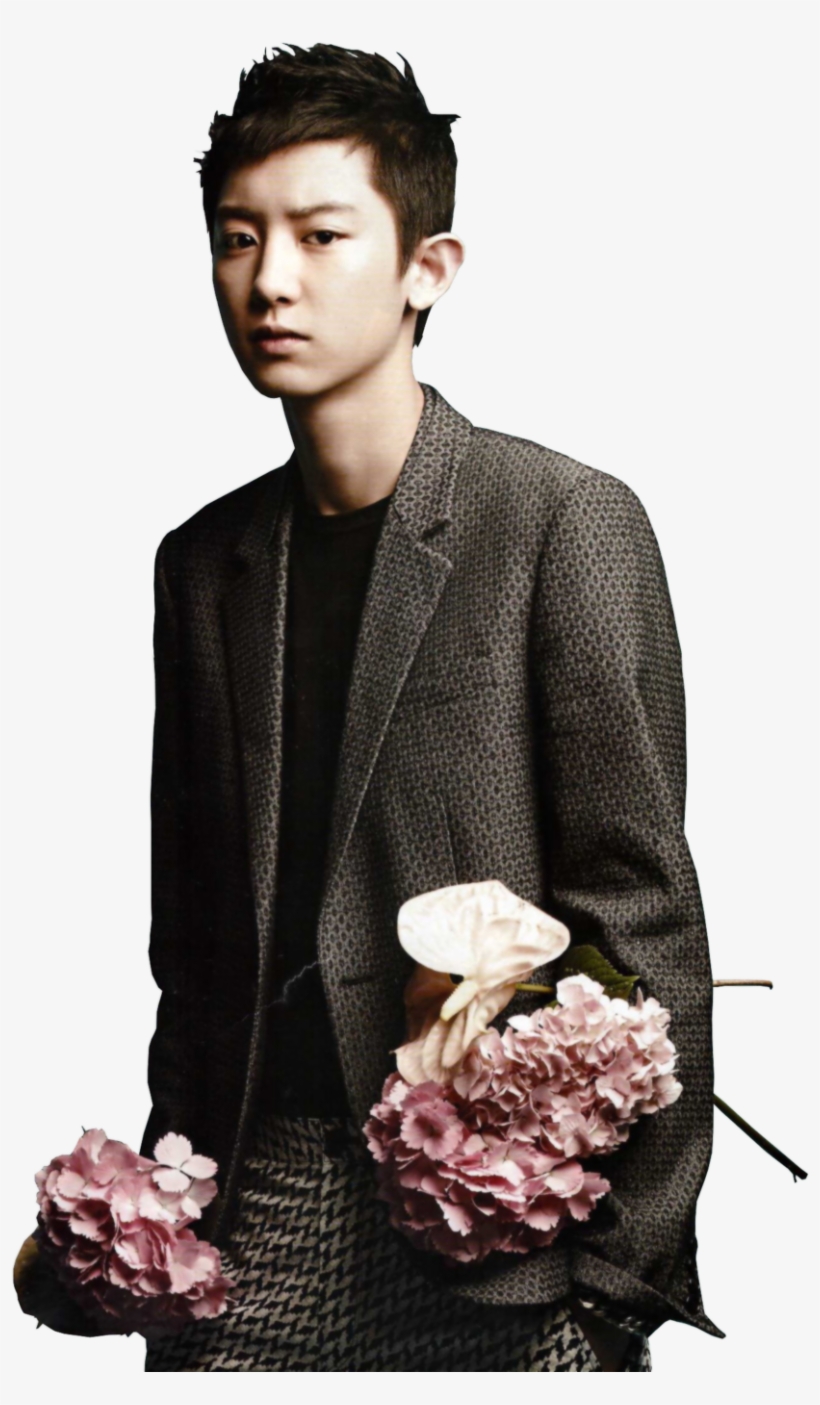 Kpop Exo Ceci, transparent png download