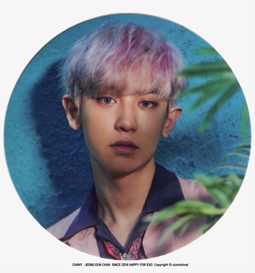 170907 'power' Merchandise Credit - Exo Kokobop Desktop, transparent png download