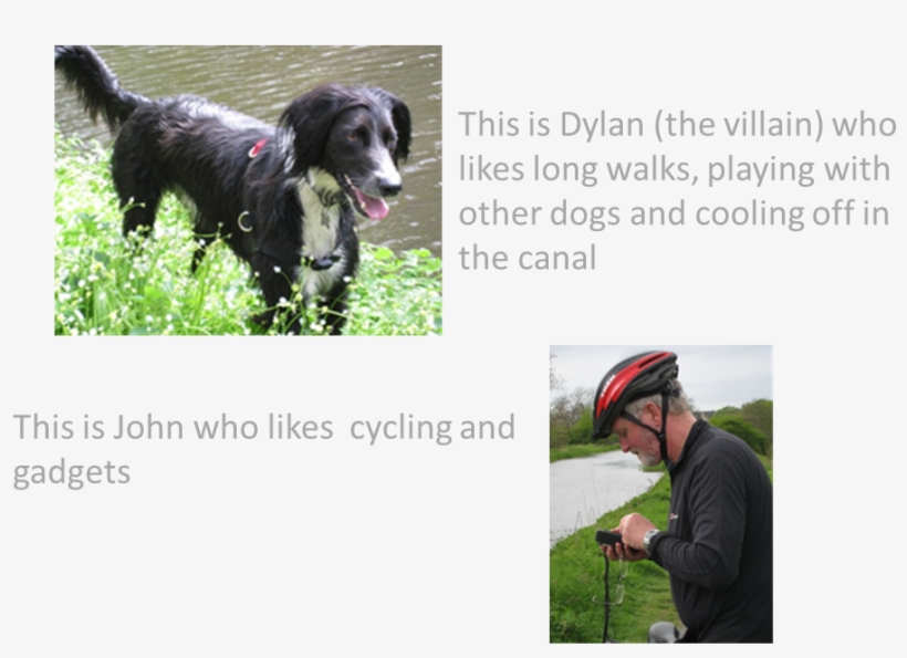 Places For Bats , For People And Not Forgetting Dogs, - Poofi, transparent png download