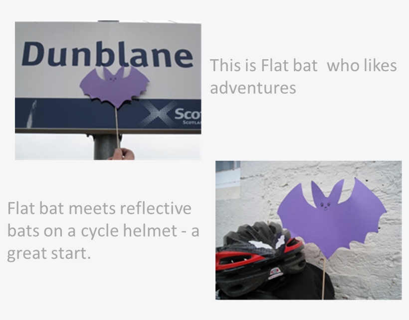 Places For Bats , For People And Not Forgetting Dogs, - Origami, transparent png download