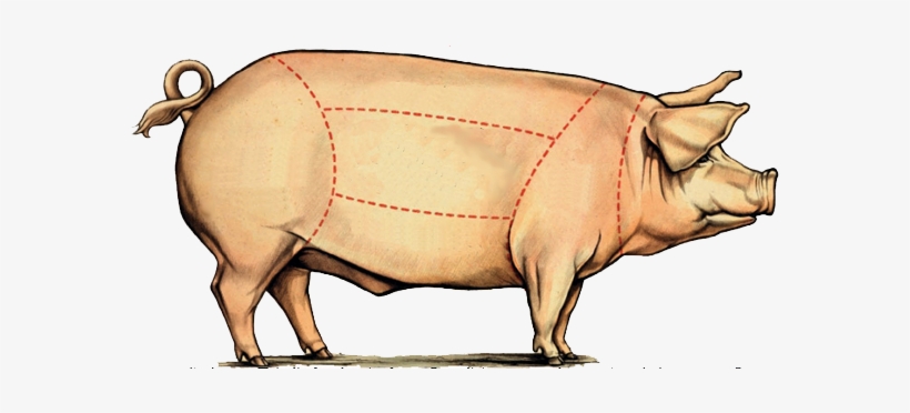 Dining Chicago Bringing On The Big Pig - Big Pig Png, transparent png download
