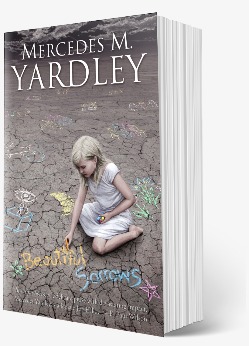 There Is A Place Where Sorrows Pile Up Like Snow And - Book, transparent png download