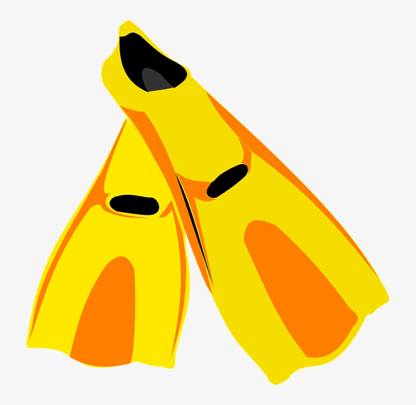 Flippers Clipart, transparent png download
