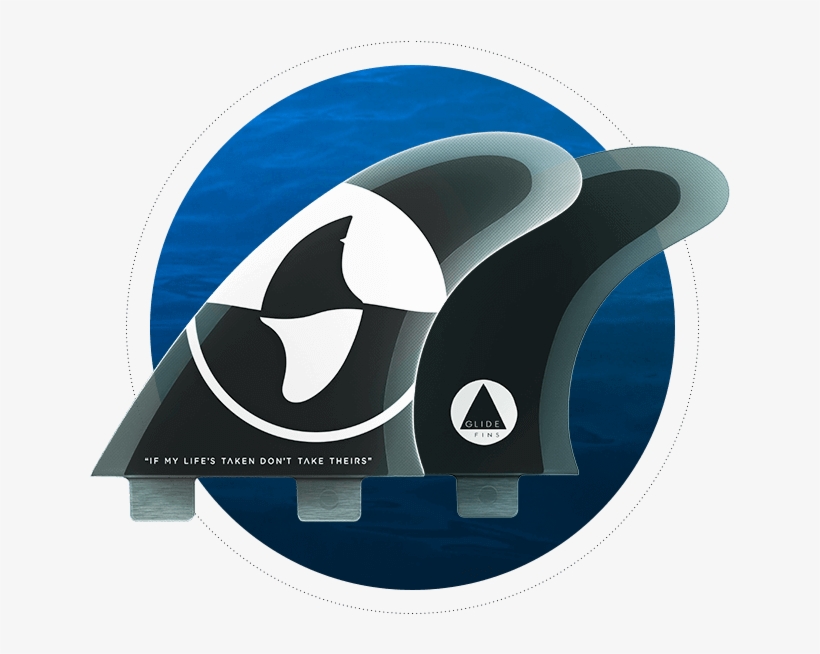 All Round Performance - Fin, transparent png download