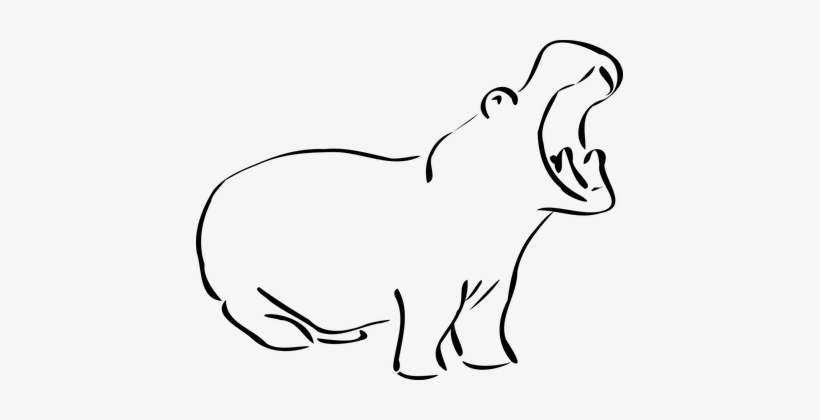 Hippo Hippopotamus Wildlife Nature Zoo Afr - Hippo Clip Art, transparent png download