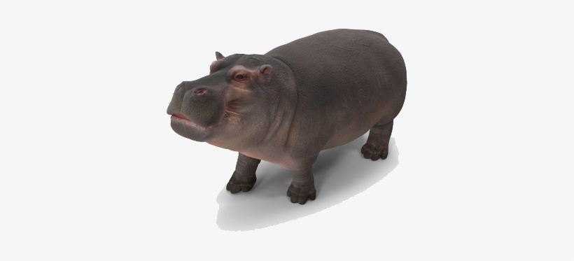 Shower, transparent png download