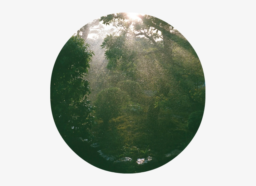 Of Silence - Nature Tumblr Png, transparent png download