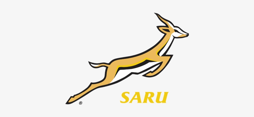 Moments Silence For Sa Sport Stars - Springbok Rugby, transparent png download