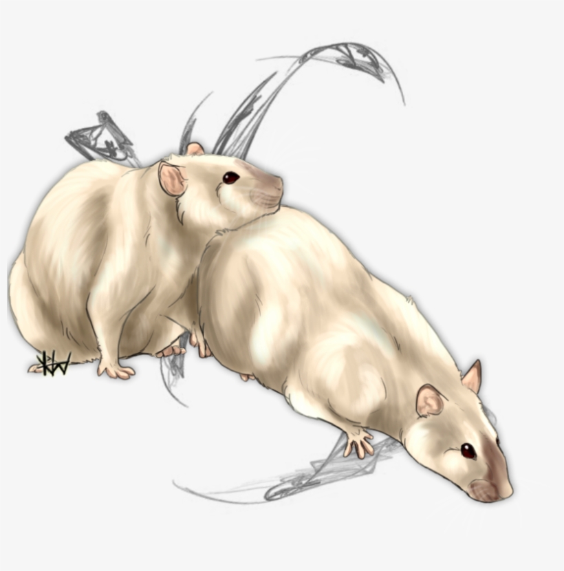 Wheatley And Booger - Rat, transparent png download