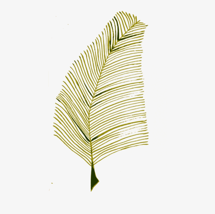 Leaf Plant Twig Calligraphy Computer Icons - Clip Art, transparent png download