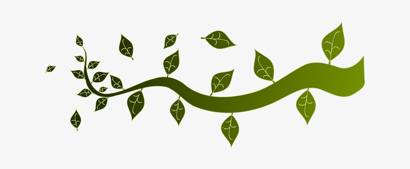 Branch, Leaves, Nature, Tree, Twig, Ornament - Hoàng Hôn Buổi Sáng, transparent png download