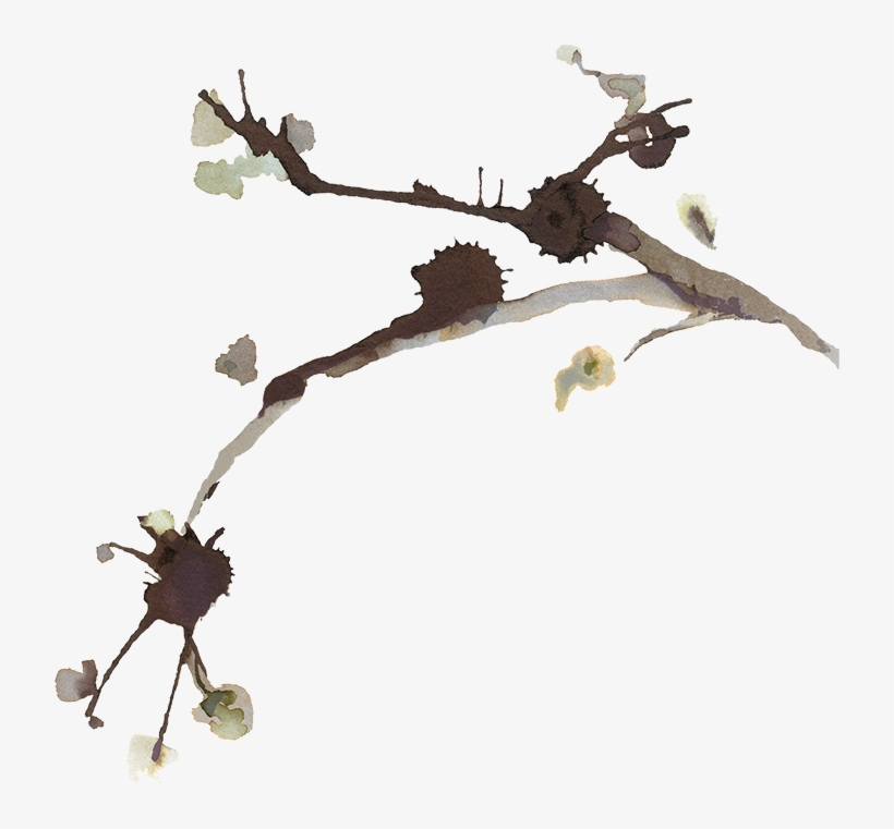 Galerie - Naissance Sauvignon Blanc 2015 750ml, transparent png download