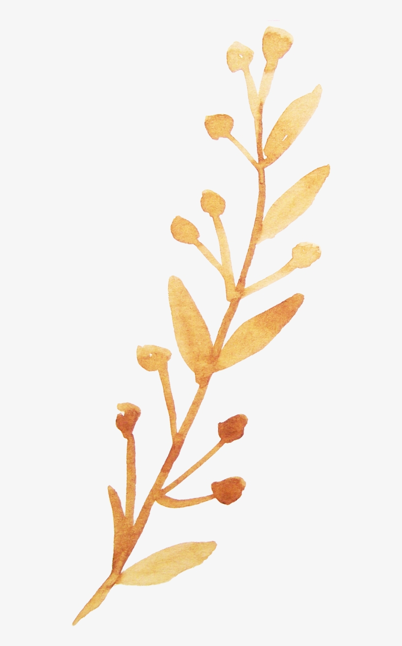 Twig Vector Watercolor - Watercolor Branch With Flower Png, transparent png download
